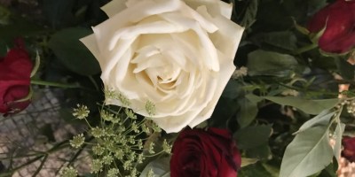 Heureuse année 2018. ©️: Phenixwebzine