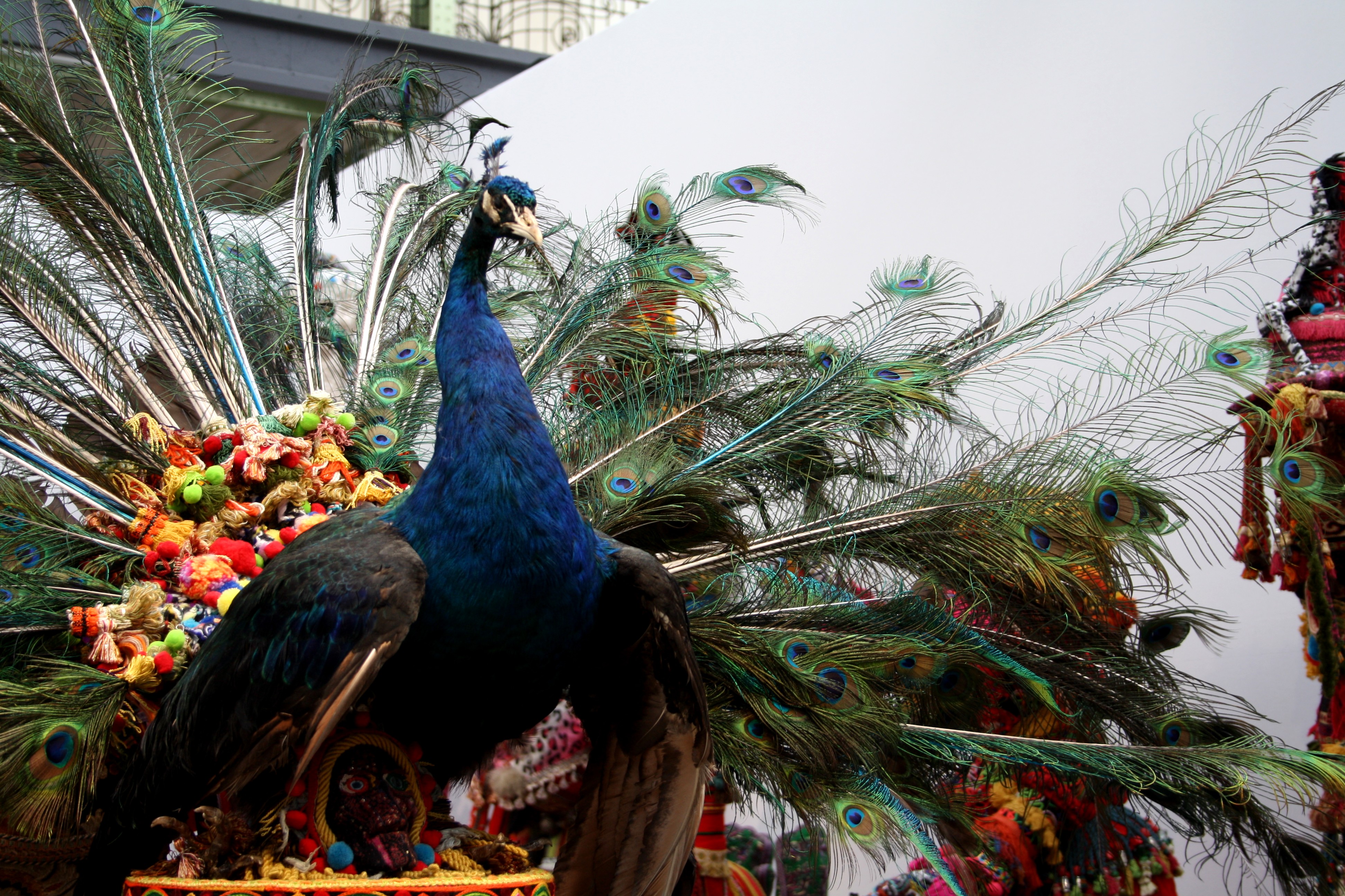 Paon Art Paris Art Fair 2019