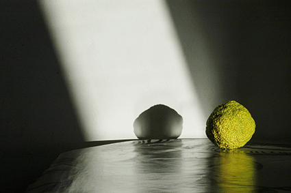 ©Jean-Louis Garnell, Le bout de la table