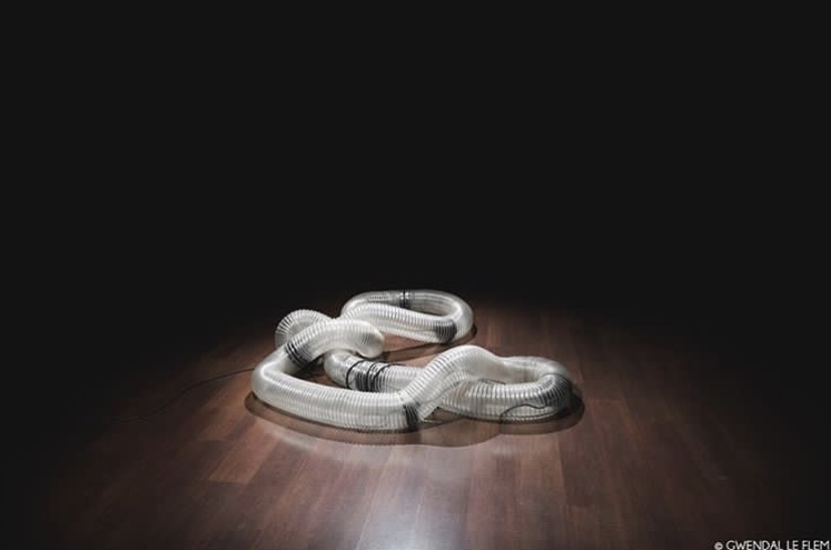 πTON/ 2 , COD.ACT / Suisse