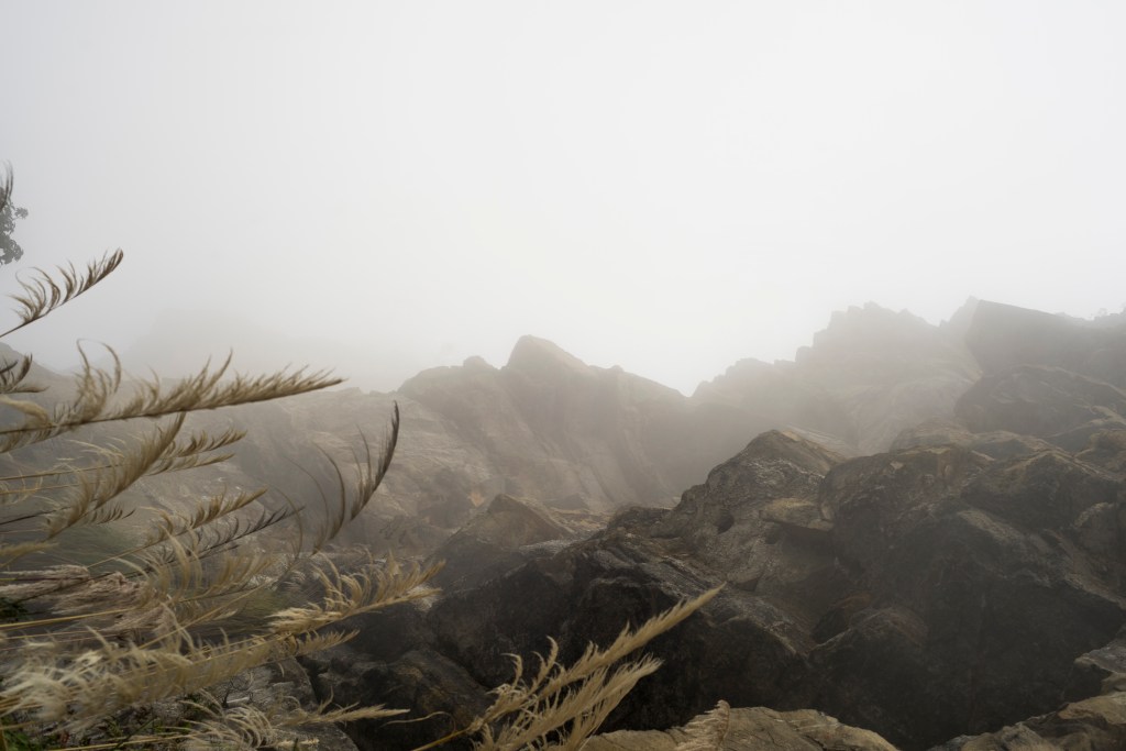 "Niebela Viones del Salto" ©: Andres Donadio