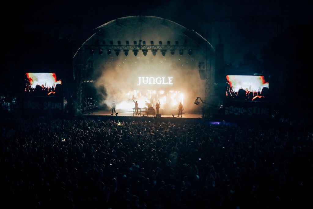 Jungle, Rock en Seine 2019. ©: Mathieu Foucher