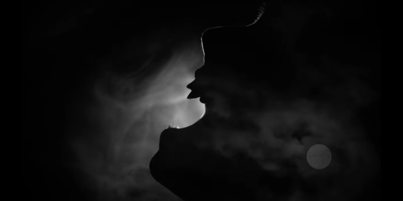 Animal Triste - Afterlife