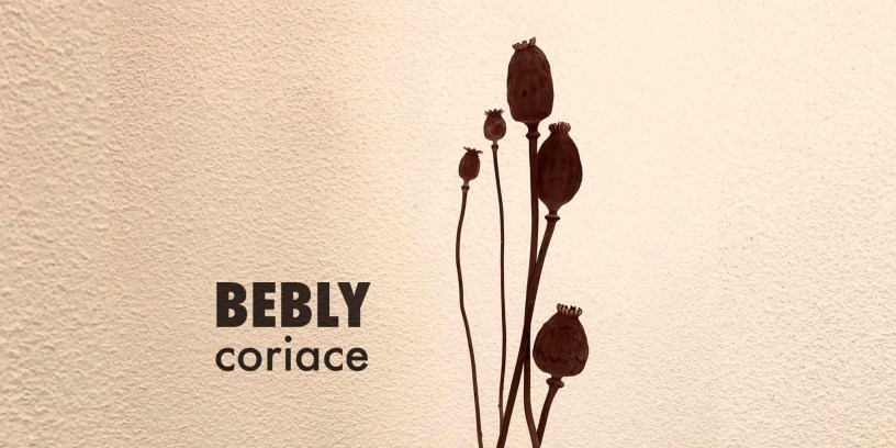 Coriace, le nouvel EP de Bebly est disponible sur toutes les plateformes depuis ce 12.05.23