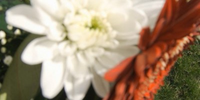 "J’ai plus peur", le nouveau single de Terrier est disponible sur toutes les plateformes depuis ce 29.03.24