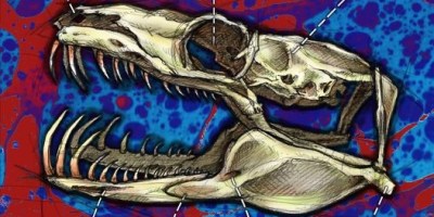 Black and white le nouveau single de Kloahk est disponible sur toutes les plateformes depuis le 23 avril 2024