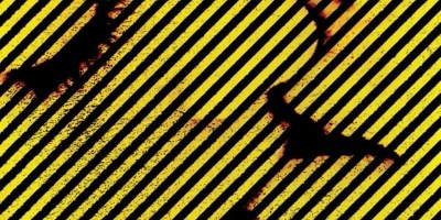 "Tonight Will Only Make Me Love More", le nouvel album de Caesaria est disponible sur toutes les plateformes depuis le 17 mai 2024.