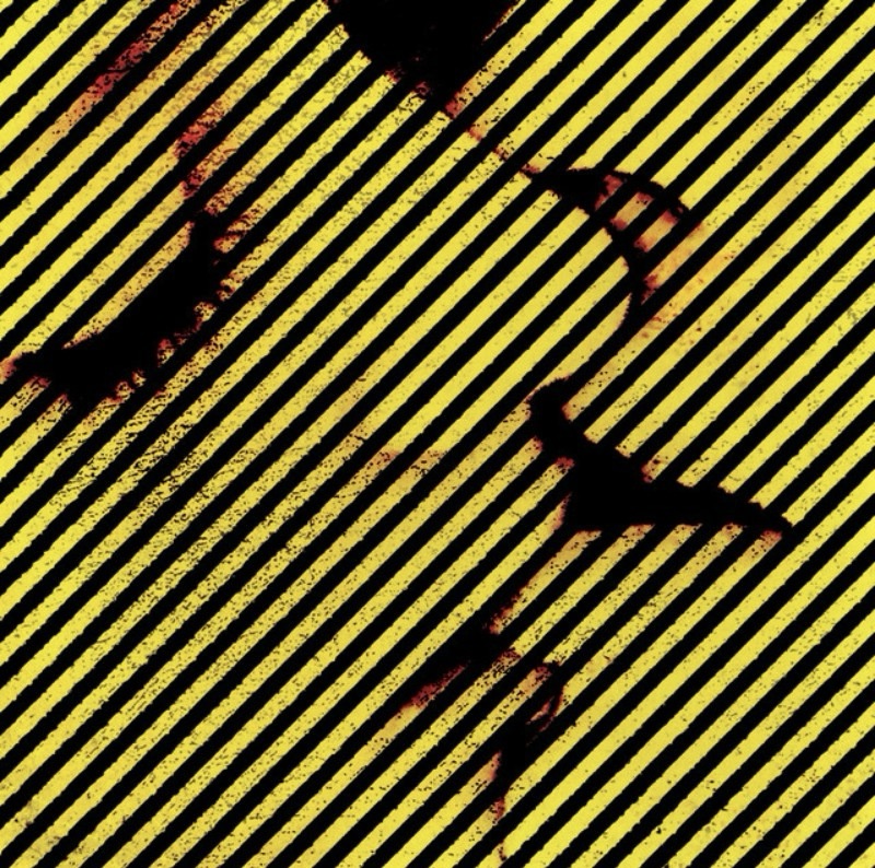 "Tonight Will Only Make Me Love More", le nouvel album de Caesaria est disponible sur toutes les plateformes depuis le 17 mai 2024.